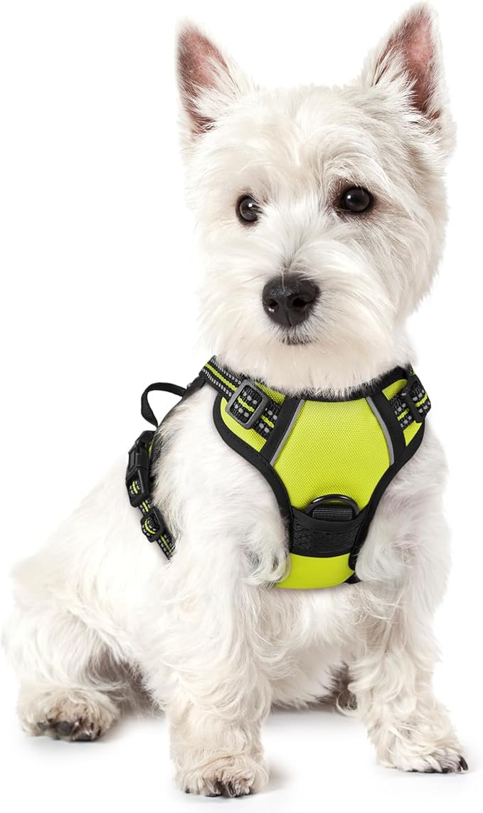 rabbitgoo Dog Harness, No-Pull Pet Harness with 2 Leash Clips, Adjustable Soft Padded Dog Vest, Reflective No-Choke Pet Oxford Vest with Easy Control Handle for Small Dogs, Wild Lime, XS