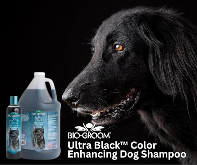 Bio-Groom Ultra-Black Dog Shampoo - Color Enhancing Pet Shampoo, Dog Bathing Supplies, Puppy Wash, Grooming Supplies, Cruelty-Free, Made in USA, Coat Brightener Shampoo - 1 Gallon