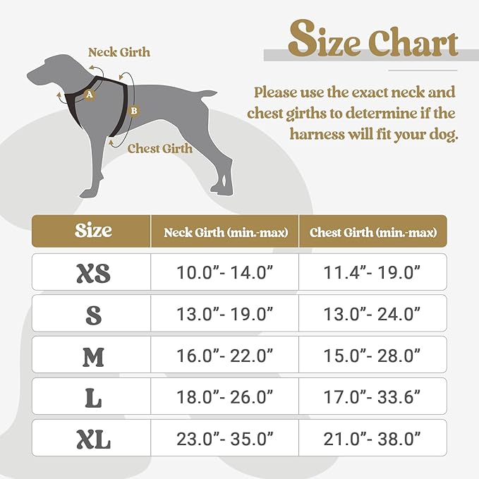 rabbitgoo Dog Harness, No-Pull Pet Harness with 2 Leash Clips, Adjustable Soft Padded Dog Vest, Reflective No-Choke Pet Oxford Vest with Easy Control Handle for Small Dogs, Beige, XS