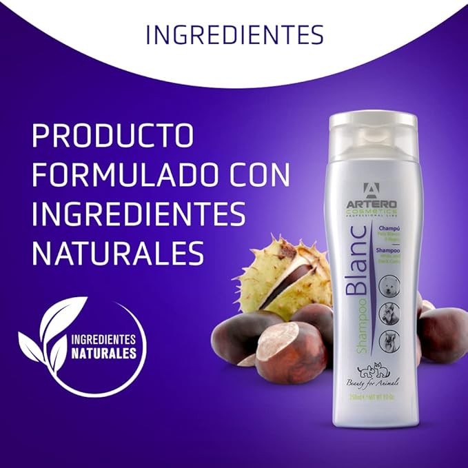 ARTERO Blanc Shampoo