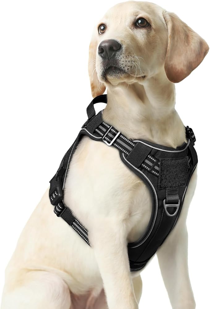 rabbitgoo Dog Harness Medium Sized No Pull, Tactical Service Dog Vest with Molle and Control Handle, Adjustable and Reflective Military Pet Harness for Easy Walking and Training, Black, M