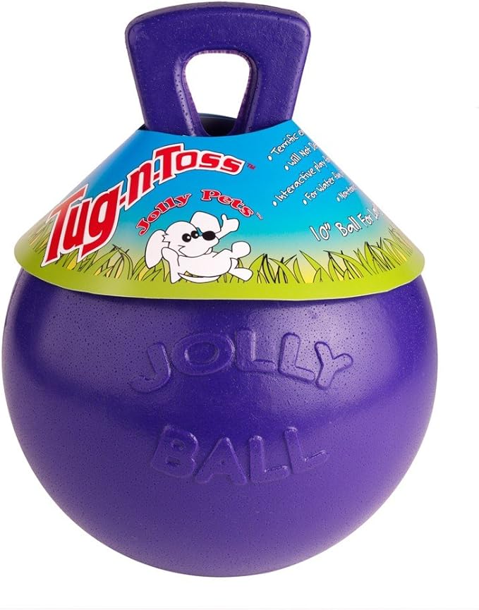 Jolly Pets Tug-n-Toss Heavy Duty Dog Toy Ball with Handle, 6 Inches/Medium, Purple