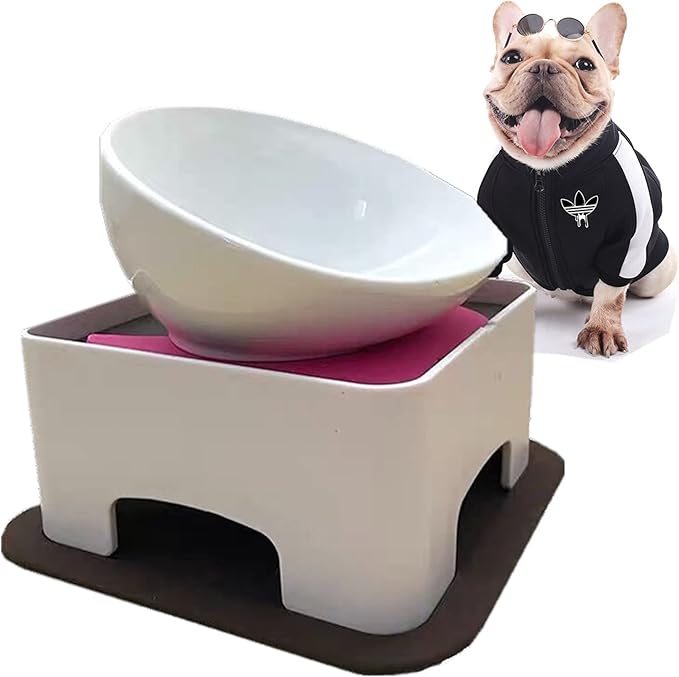 Bulldog Bowl Anti-Slip Dog Cat Dish Detachable Rubber Dog Bowl Pet Sterile Tilted Pet Feeder Slope Base (White（Ceramic Bowl）, 1.5 Cup (Small/Medium Dog))
