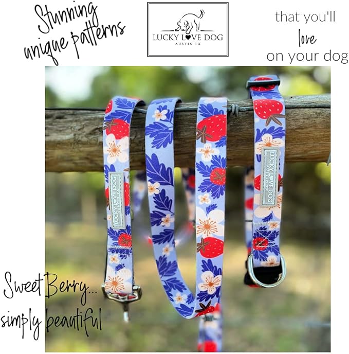 Lucky Love Dog Collars, Strawberry Cute Girl Dog Collar, X-Small Dog Collars for Females, Part of Purchase Donated to Rescue (Extra Small, Sweet Berry, Collar)