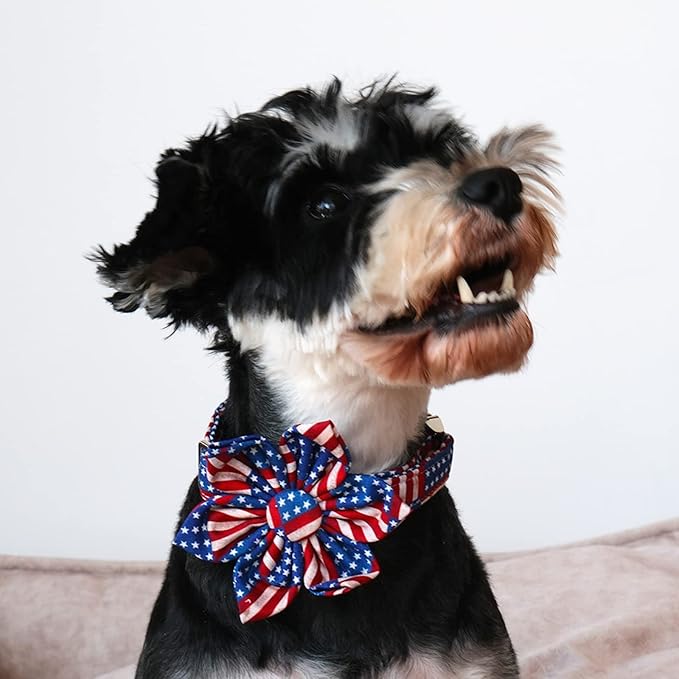 Lionet Paws Patriotic Female Dog Collar with Flower, 4th of July, Soft and Comfortable Adjustable American Flag Collar for Dogs, Medium, Neck 13.5-22 inches