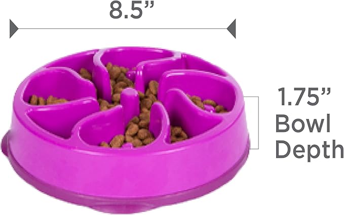 Outward Hound Fun Feeder Slo Bowl, Slow Feeder Dog Bowl, Medium/Mini, Purple