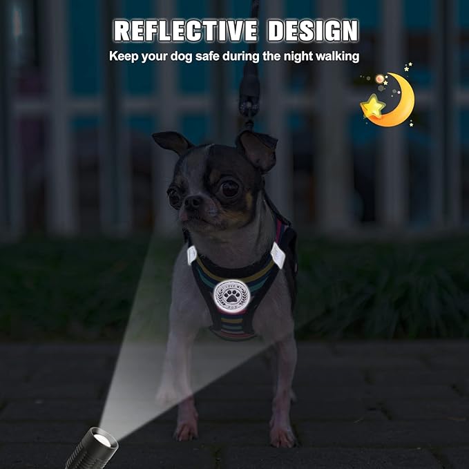 BEAUTYZOO Dog Harness and Leash Set for Small Dogs,No Pull Step-in Harness for Puppy XS S Sized Dogs and Cats,Air Mesh Adjustable Breathable Soft No Chock Escape Proof Vest Harnesses,Striped Teal XXS