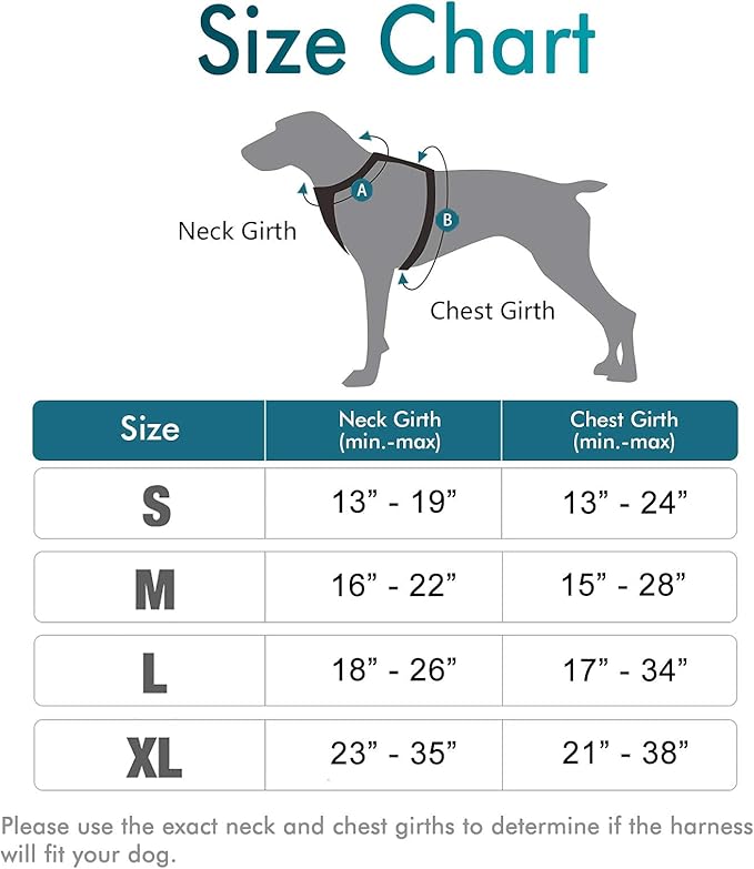 rabbitgoo Dog Harness, No-Pull Pet Harness with 2 Leash Clips, Adjustable Soft Padded Dog Vest, Reflective No-Choke Pet Oxford Vest with Easy Control Handle for Large Dogs, Blue Coral, XL
