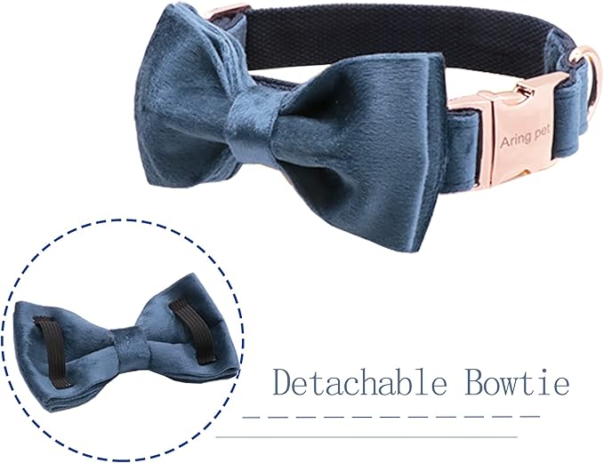 ARING PET Bowtie Dog Collar-Velvet Dog Collars with Removable Bowtie, Cute & Comfortable Dog Collar.