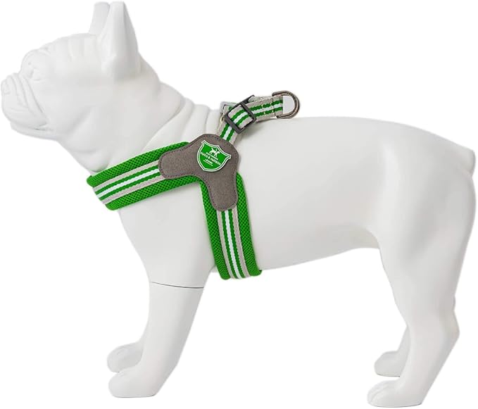 HUGO & HUDSON Easy Walk Dog Harness, Adjustable Quick Dry No-Pull Pet Harness, Green, Size 2