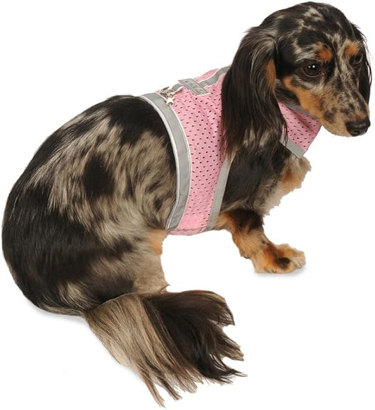 Athletic Mesh Dog Harness for Teacup, Teacup 1 - Small Dogs and Puppies | Reflective Trim and Comfortable Velcro Closure