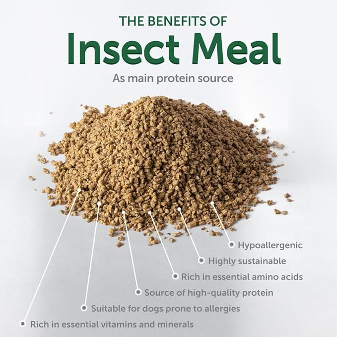 Nature's Protection Superior Care Grain Free Dry Dog Food - Healthy Dog Food All Life Stages Dogs - Balanced, Super Premium Dog Food - 1 Pack of 22lb Insect Flavor