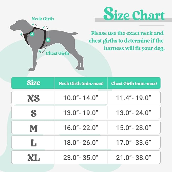 rabbitgoo Dog Harness, No-Pull Pet Harness with 2 Leash Clips, Adjustable Soft Padded Dog Vest, Reflective No-Choke Pet Oxford Vest with Easy Control Handle for Medium Dogs, Turquoise, M