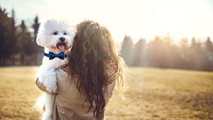 MACA Bates Dog Blue Woolen Collar with Nylon- Warm and Soft Bows Dog Collar for Large Medium Small Dogs, Adjustable Dog Collar with Metal Buckle for Boy and Girl in Winter, XS Puppy Collar
