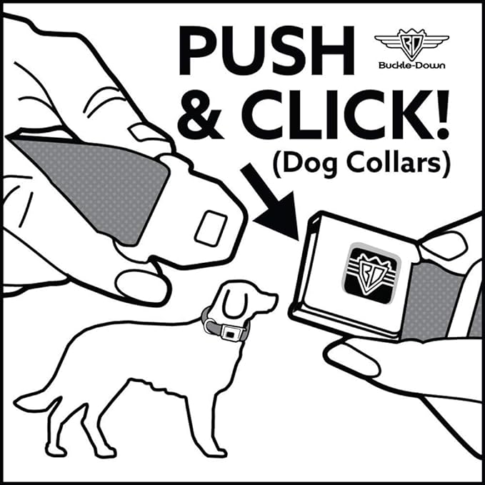 Buckle-Down Seatbelt Buckle Dog Collar - Dug 3-Poses/SQUIRREL! Brown/Yellow/White - 1" Wide - Fits 9-15" Neck - Small