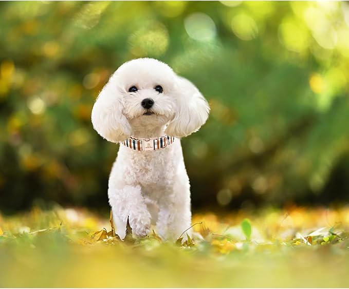 Lionheart glory Plaid Dog Collars Fall Dog Collar Heavy Duty Adjustable Dog Collar for Medium Collar Dog Female or Male Dog Collar