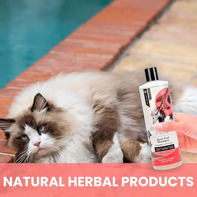 Holistic Natural Derived Goji Berry & Jujube Pet Shampoo: Veterinarian Recommended - Energy & Wellness for Your Dog, Cat and Horse Coat - Made in USA - 16 oz