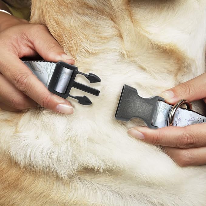 Disney Pet Collar, Dog Collar Plastic Buckle, Frozen Elsa Snowflake Pose with Trees and Script Blues, 13 to 17 Inches 1.5 Inch Wide