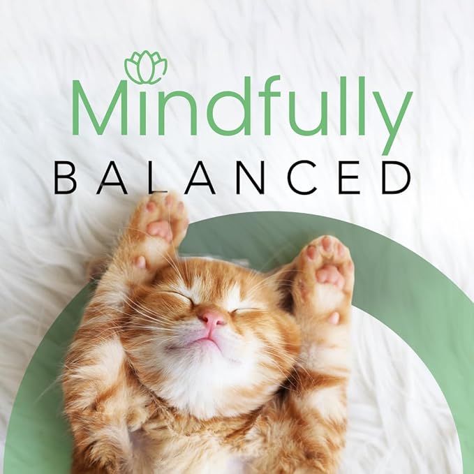 Best Shot Scentament Spa Seasonal Facial & Body Wash, Mango Maui, 16 oz