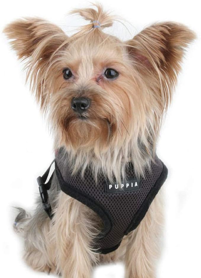 Puppia Soft Dog Harness No Choke Over-The-Head Triple Layered Breathable Mesh Adjustable Chest Belt and Quick-Release Buckle, Brown, Small