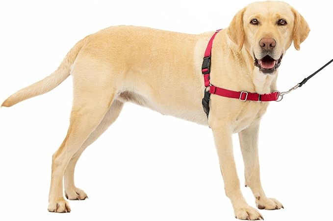 PetSafe Easy Walk No-Pull Dog Harness - The Ultimate Harness to Help Stop Pulling - Take Control & Teach Better Leash Manners - Helps Prevent Pets Pulling on Walks, Large, Red/Black