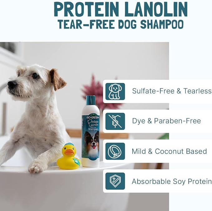 Bio-Groom Protein Lanolin Dog Shampoo - Tear-Free Pet Shampoo, Dog Bathing Supplies, Puppy Wash, Cat & Dog Grooming Supplies, Cruelty-Free, Made in USA, Tearless Dog Products - 1 Gallon