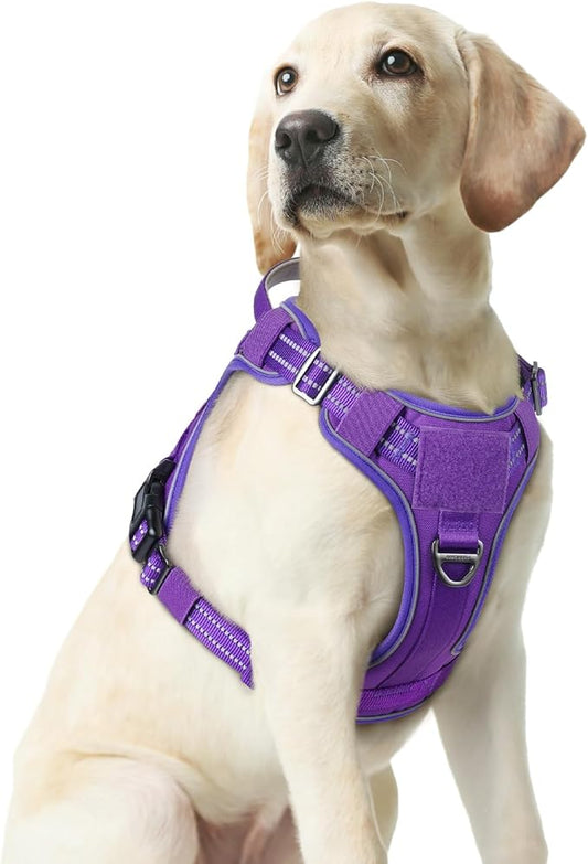 rabbitgoo Dog Harness Medium Sized No Pull, Tactical Service Dog Vest with Molle and Control Handle, Adjustable and Reflective Military Pet Harness for Easy Walking and Training, Purple, M