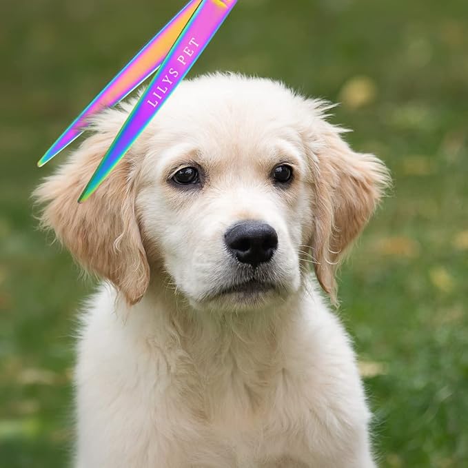 LILYS PET HIGH-END SERIES Japan 440C Stainless Steel Professional Pet Grooming Scissors Set,Rainbow Color,Cutting&Thinning&Two-way Curved shears Set (8.0")