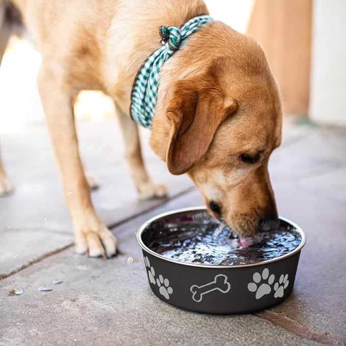 Loving Pets Bella Dog Bowls- Stainless Steel Dog & Cat Bowls - Spill Proof Dog Food Bowl, Cat Bowl, Puppy Essentials & Pet Supplies Great for Home & Travel (Medium 20-25 lbs, Espresso)