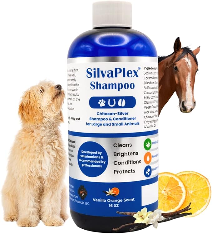 Ag21 Professional Chelated Silver Pet Shampoo & Conditioner - UV Protection, Coat Enhancing Formula for Dogs, Cats & Horses - Vet Recommended, Made in USA (16 oz)