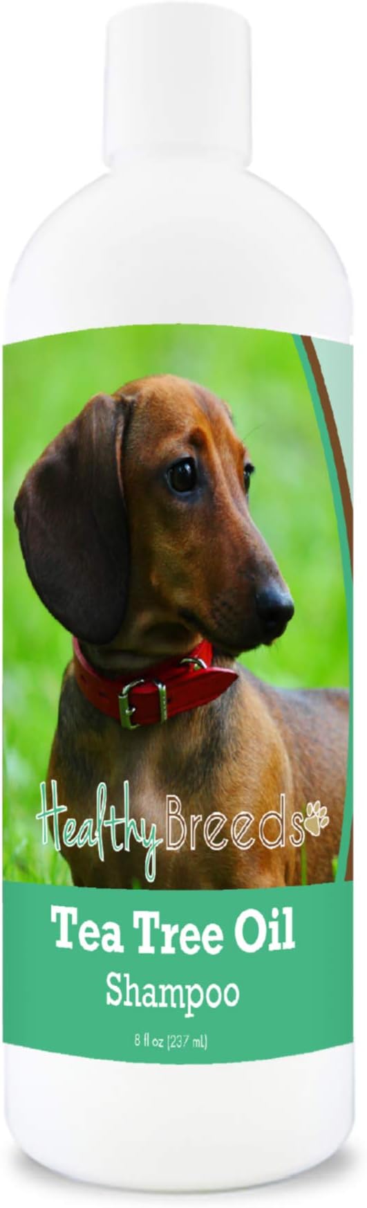 Healthy Breeds Dachshund Tea Tree Oil Shampoo – Formulated for Dry, Irritated Skin – Reduce Dandruff – Wintergreen Scent – 8 oz