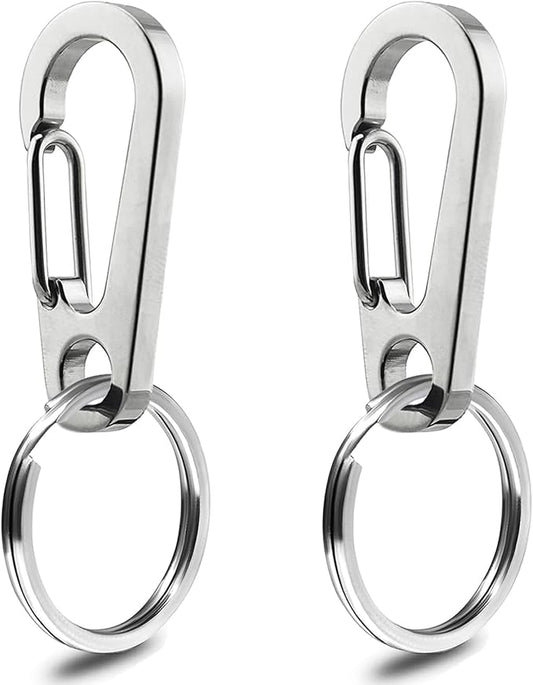 IVIA Dog Tag Clips / 2 Pack/Multiple Size 304 Stainless Steel Quick Clip with Rings/Easy Change Dog Cat ID Tag Holder for Small pet Collars and Harnesses.(2 Large Silver)