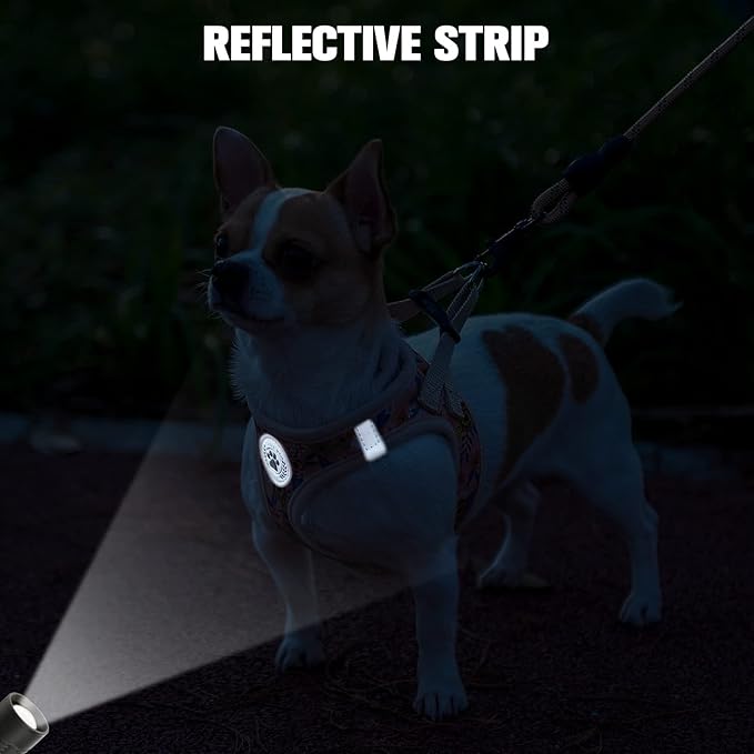 BEAUTYZOO Step in Dog Harness and Leash Set, Floral Pattern Reflective Dog Harness No Pull No Choke Puppy Harness for XXS XS S Dogs Cats, Soft Padded Mesh Vest Harnesses for Girl and Boy Pets