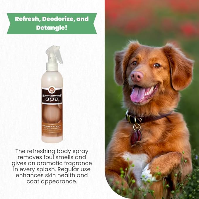 Best Shot Scentament Spa Botanical Body Splash, Body Spray Conditioner for Pets, Cat and Dog Cologne Spray, Alcohol-Free, Ready To Use, Cinnamon Spice, 8 Oz.