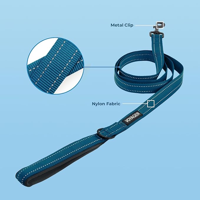 Voyager Reflective Dog Leash Collar Set with Neoprene Handle Supports Small, Medium, and Large Breed Puppies, Cute and Heavy Duty for Walking, Running, and Training - Blue, S