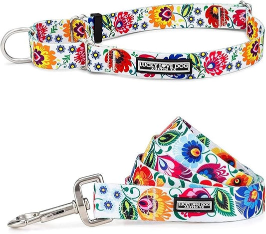 Lucky Love Dog Martingale Collar and Leash Set, Premium No Slip Collar and Leash Set, Vivid Floral Martingale Dog Collar, Great for Whippets, Greyhounds, and More (Ladybird, Large - Combo)