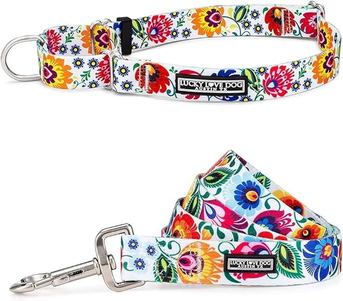 Lucky Love Dog Martingale Collar and Leash Set, Premium No Slip Collar and Leash Set, Vivid Floral Martingale Dog Collar, Great for Whippets, Greyhounds, and More (Ladybird, Medium - Combo)