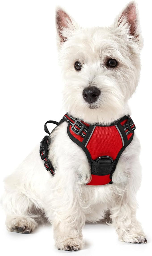 rabbitgoo Dog Harness, No-Pull Pet Harness with 2 Leash Clips, Adjustable Soft Padded Dog Vest, Reflective No-Choke Pet Oxford Vest with Easy Control Handle for Small Dogs, Red,XS