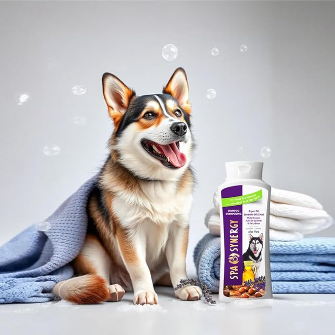 Pet Dog Shampoo Mud and Natural Dead Sea Mineral Rich, Aloe Vera & Vitamin-E, Anti Dandruff, Relief Psoriasis & Eczema, Moisturizing - Argan Oil & Lavender Oil - (1) Bottle 16.5 FL OZ