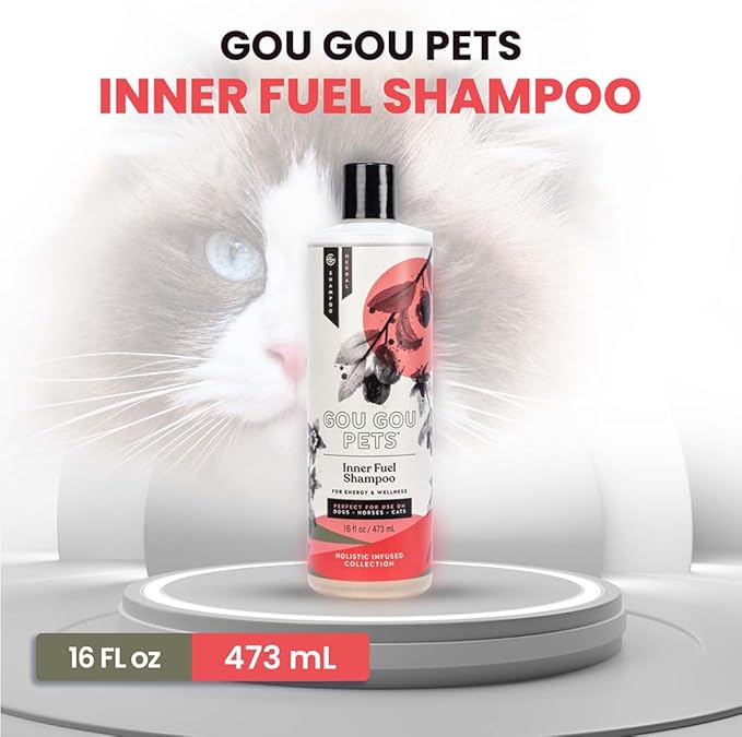 Holistic Natural Derived Goji Berry & Jujube Pet Shampoo: Veterinarian Recommended - Energy & Wellness for Your Dog, Cat and Horse Coat - Made in USA - 16 oz