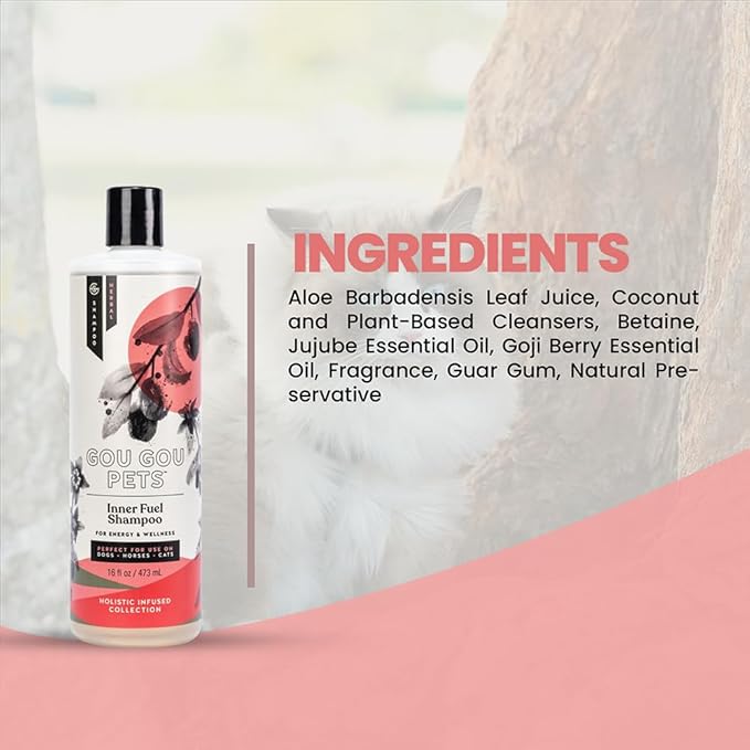 Holistic Natural Derived Goji Berry & Jujube Pet Shampoo: Veterinarian Recommended - Energy & Wellness for Your Dog, Cat and Horse Coat - Made in USA - 16 oz