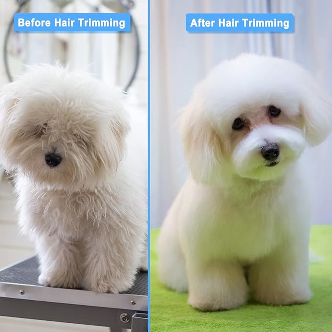 Bamlue 6 in 1 Professional Stainless Steel 4CR Safety Round Tip Dog Grooming Scissors, Anti-Rust Shears Cat Grooming Scissors Pet Kit, Thinning Straight Comb for Long Short Hair-Blue