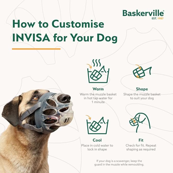 Baskerville INVISA Basket Dog Muzzle - Patented Humane Design with Facial Visibility, Padded Nose Band, Dog can Pant and Drink, Prevents Biting and Scavenging. Muzzle for Small Dogs (Size 2)