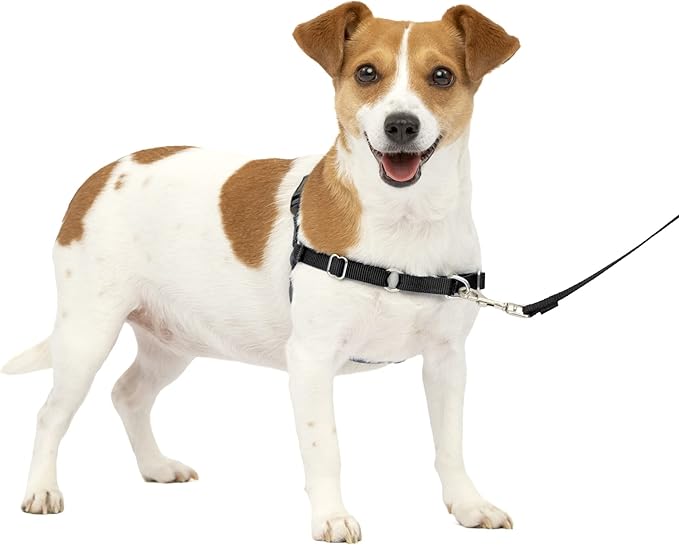 PetSafe Easy Walk No-Pull Dog Harness - The Ultimate Harness to Help Stop Pulling - Take Control & Teach Better Leash Manners - Helps Prevent Pets Pulling on Walks, Small, Charcoal/Black