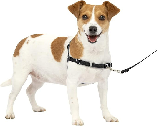 PetSafe Easy Walk No-Pull Dog Harness - The Ultimate Harness to Help Stop Pulling - Take Control & Teach Better Leash Manners - Helps Prevent Pets Pulling on Walks, Small, Charcoal/Black