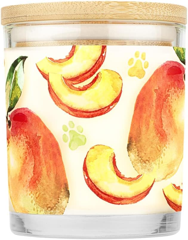 One Fur All Mango Peach Pet House Candle