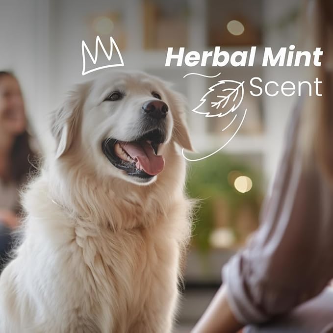 Best Shot ONE SHOT Deodorizing Spray, Versatile Pet Odor Eliminator Spray, Alcohol-free and Fabric-safe, Deodorizing Spray for Horses, Dogs, and Cats, Herbal Mint Fragrance, 32 Oz.