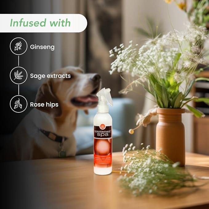 Best Shot Scentament Spa Botanical Body Splash, Detangler Spray, Body Spray for Pets, Cat and Dog Cologne Spray, Mandarin Jasmine Honey, 8 Oz.