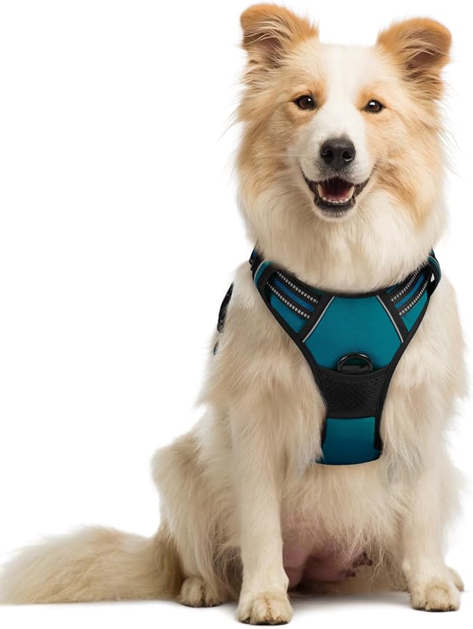 rabbitgoo Dog Harness, No-Pull Pet Harness with 2 Leash Clips, Adjustable Soft Padded Dog Vest, Reflective No-Choke Pet Oxford Vest with Easy Control Handle for Medium Dogs, Blue Coral, M