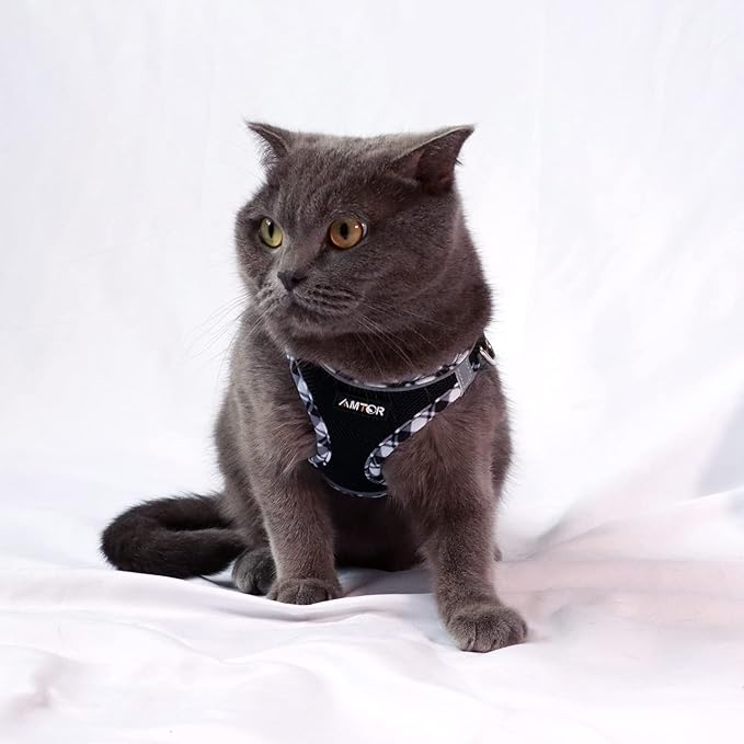 AMTOR Small Dog Harness with Leash Set, No Escape Easy Walk Puppy Harnesses for Training Walking, Step-in Reflective Soft Dogs Vest for XS S Medium Extra-Small Large Sized Dog(Blackwhite,XS)